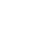 Map icon